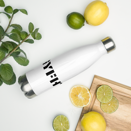 Stainless Steel Water Bottle